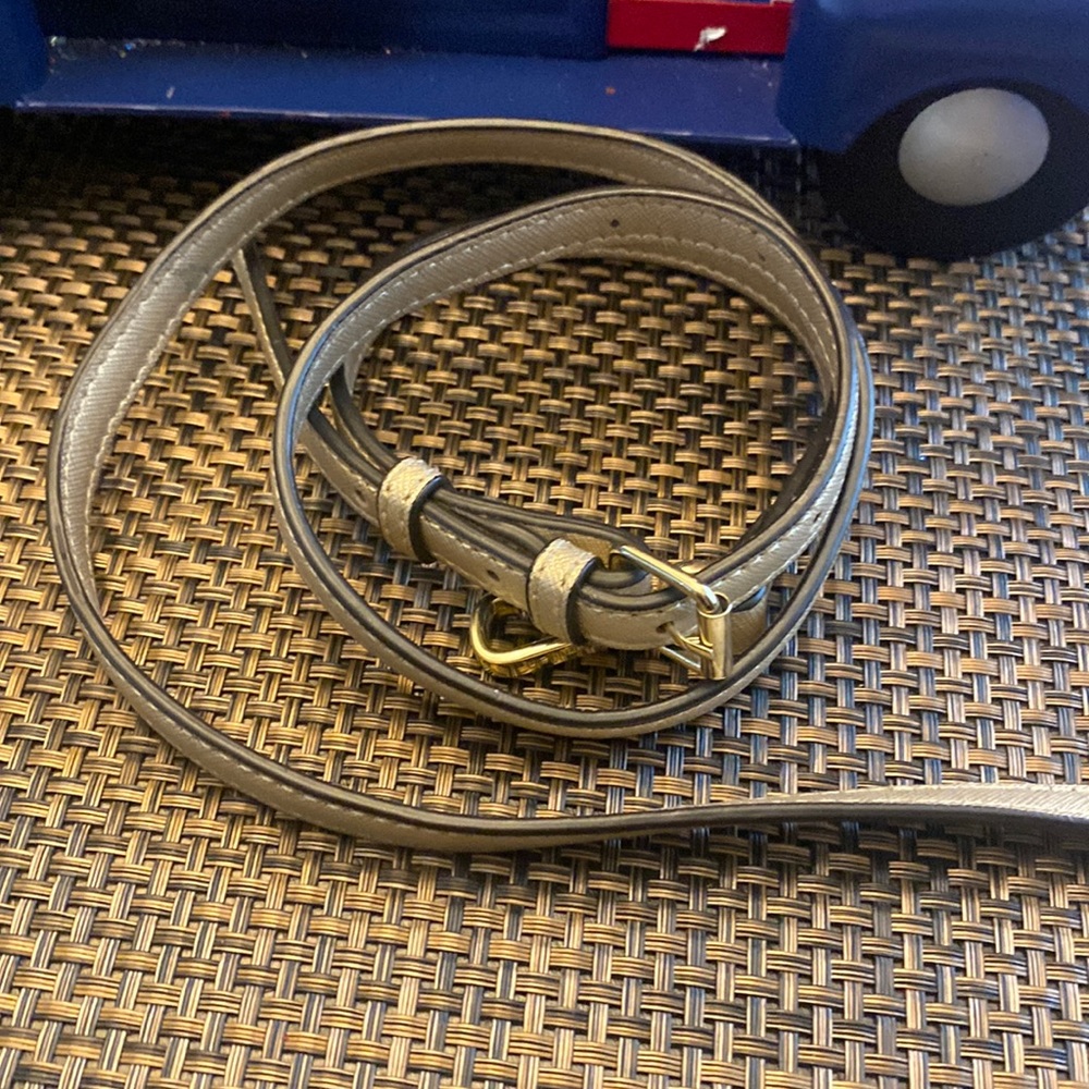 Gold bag strap.